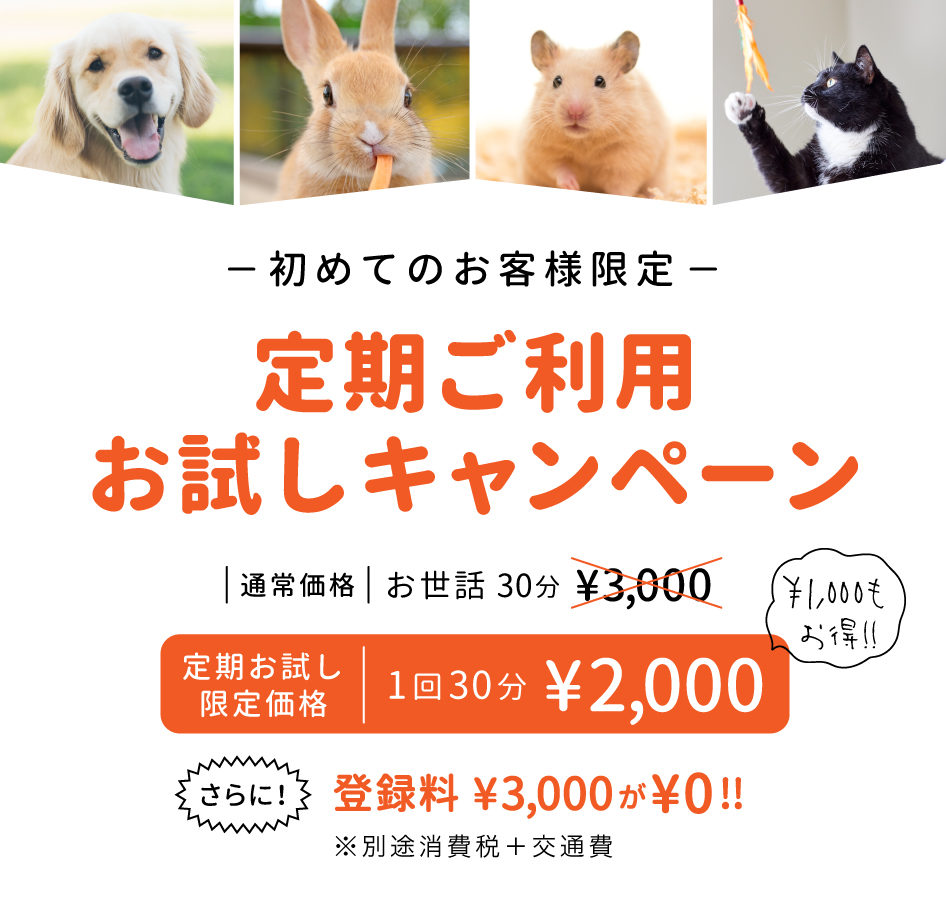 定期ご利用お試しキャンペーン