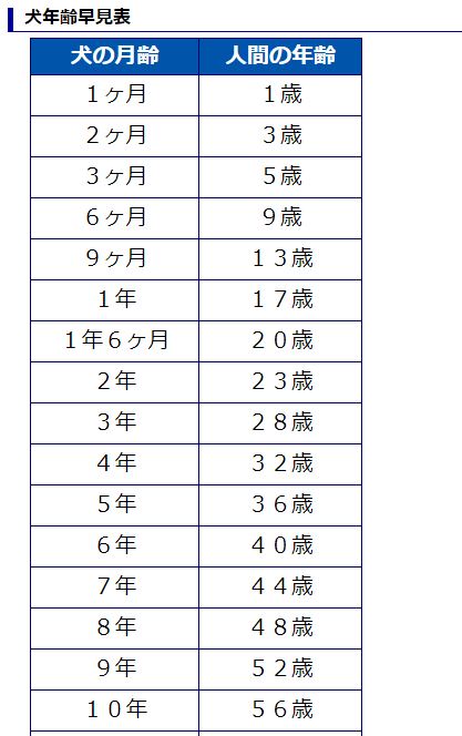 犬 年齢 人間