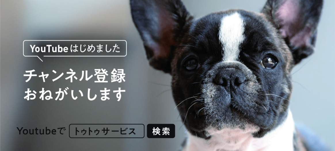 お散歩しつけの基本 リーダーウォーク 子犬 成犬まで トゥトゥサービス 東京の散歩代行 ペットシッター お散歩しつけの基本 リーダーウォーク 子犬 成犬まで トゥトゥサービス 東京の散歩代行 ペットシッター