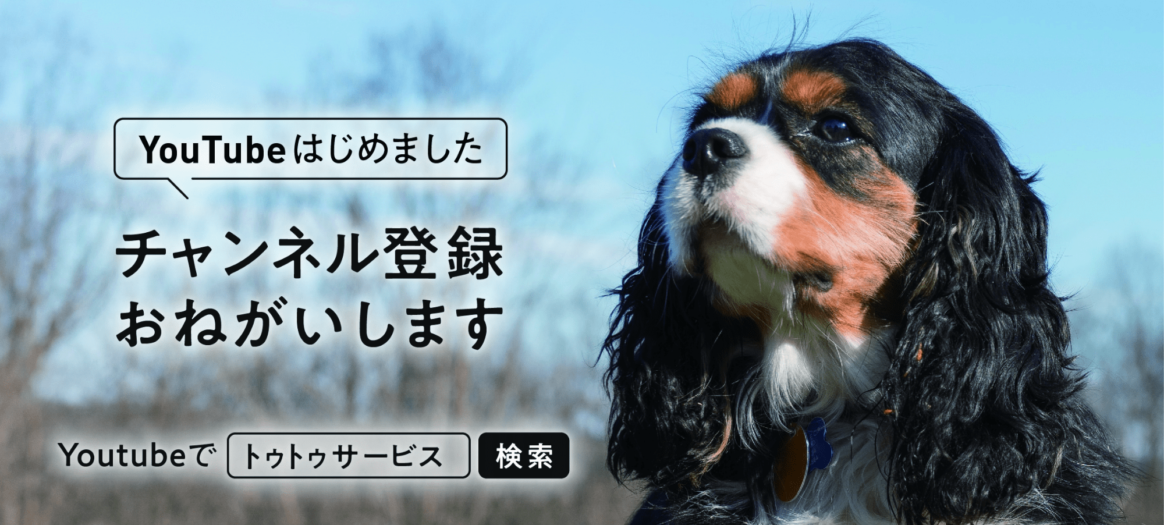 人見知りな犬を人慣れさせる方法 トゥトゥサービス 東京の散歩代行 ペットシッター 人見知りな犬を人慣れさせる方法 トゥトゥサービス 東京の散歩代行 ペットシッター